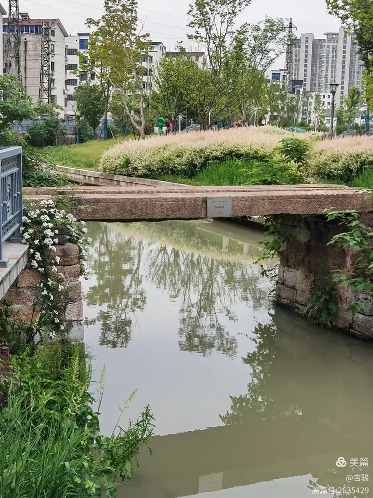 常州龙游河上的桥